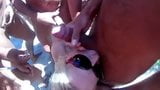 Sucking amateur orgy at the beach snapshot 12