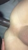 closeup anal ayam hitam snapshot 10