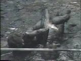 Nude ladies mud wrestle snapshot 2