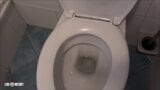 Du bist meine Toilettensklavin snapshot 4