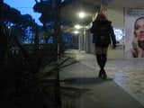 walking in public street hooker snapshot 2