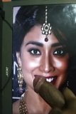 Bollywood Actress Shreya Saran Pleasurable Cocking Tribute snapshot 9