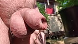 Uncut cock pissing through wet foreskin in the garden snapshot 7