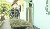 Bareback instinct 2008 (hela filmen) snapshot 2