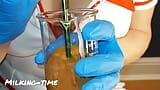 CFNM看護師パート5:痴女妻が精子サンプルを飲み込む(搾乳時間) snapshot 13