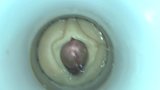 Masturbation Station by cum cam man snapshot 14