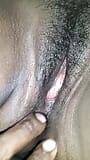 Tamil couple pussy licking snapshot 16