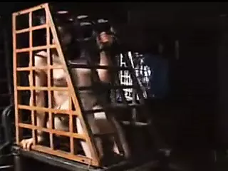 Star: BDSM Porn | xHamster