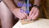 CBT - Mouse Trap snapshot 1