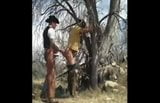 Bonnie Springs Cowboys (The real Brokeback) snapshot 18