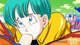 DRAGON BALL - DER BLOWJOB VON BULMA HENTAI snapshot 14