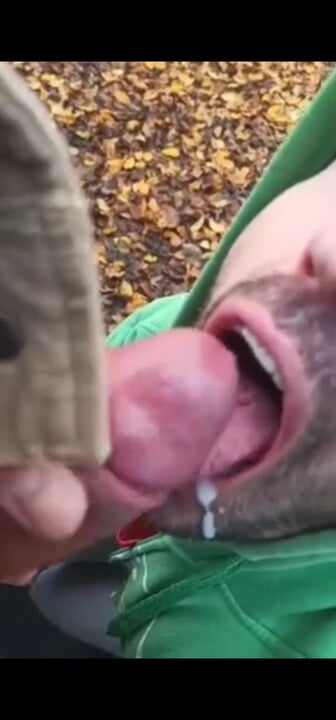 Plan direct dans la forêt entre 2 amis hétéros qui ont la bite qui brûle