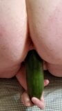 Veggie in my pussy snapshot 2