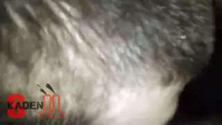Straight gets Heavenly Blowjob from Gay Man: Straight Guy Porn ...