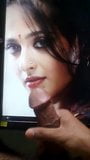 Anushka shetty ejaculação tributo snapshot 2