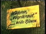 Wilderer, Vogelkraut Und Heibe Bienen (Professional Film) snapshot 1