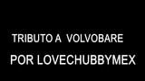 tributo VOLVOBARE snapshot 1