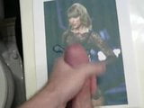 Taylor Swift eerbetoon 2 snapshot 3