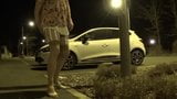 transgender travesti anal dildo  road outdoor 72 snapshot 13