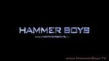 Sam w domu - Mario Stefany z Hammerboys TV snapshot 1