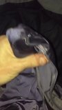 Grey satin panty crotch pocket cum snapshot 7