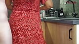 Mature Cooking in Kitchen Gets Her Dress Pulled up and Hose Ripped for a Good Fuck snapshot 3