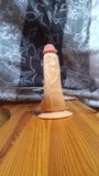 Doggy Dildo Training snapshot 1