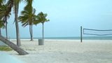 Fs - ratos de praia de Lauderdale snapshot 1