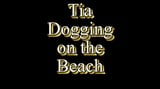 Tia dogging na plaży w nocy snapshot 1