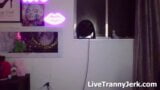 msdeliaxo Tranny Live Sex snapshot 19