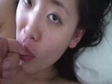 Asian swallows cum snapshot 10