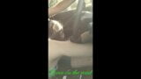 Lover on the road receives handjob and blowjob while driving snapshot 9