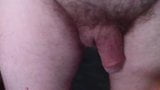 Cock slapping snapshot 5