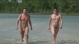 cocks at nudist beach snapshot 2