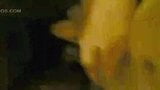 Arabische Sex-Ehefrau mit Cuckold-Ehemann Teil 5 snapshot 12