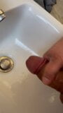 Das Bidet ist nur ein Spermasammler snapshot 2