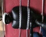 Restrained to the Frame in the neoprene bodybag snapshot 2