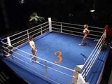 fight girls 2 snapshot 7