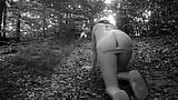 Naked submissive slut taken for a walk on a leash in forest HUMILIATION snapshot 2