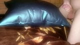 Humping inflated water pillow on waterbed snapshot 3