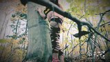 Pixie пылкая богиня в лесу - ad4x, Квебек snapshot 3