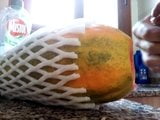 Follando papaya para femdom snapshot 1