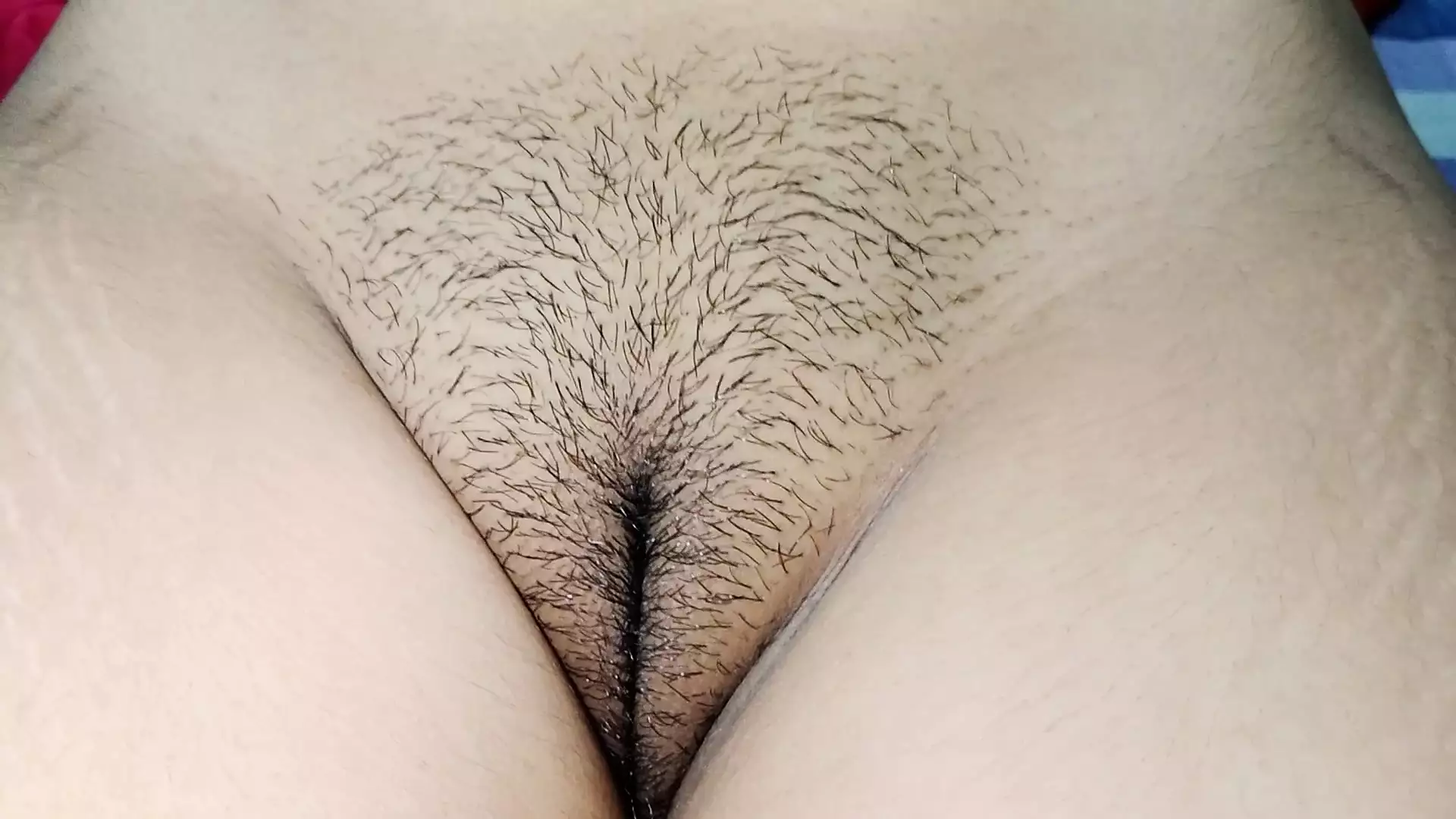 Video Bokep kakek vs menantu jepang | xHamster