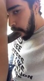 A great bearded sucker snapshot 8