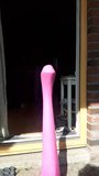 AMATEUR SISSY - HOT PINK ANALFISTING DILDO SUNNY HD - DIRTY snapshot 1