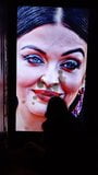 Aishwarya Rai kam wieder snapshot 4