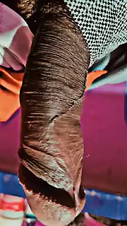 Paro Aarti Mms Viral Sex Video Paro Aarti Mms Leaked Sex Video ...