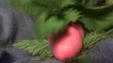 Intense CLOSE UP Cock torture with nettles end with cum snapshot 4