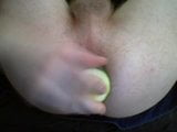 anal vegetable snapshot 6