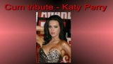 Katy Perry (Sperma-Tribut) snapshot 1